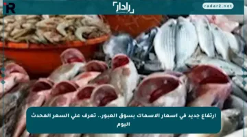 ارتفاع جديد في أسعار الأسماك بسوق العبور.. تعرف على السعر المحدث اليوم